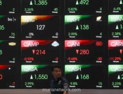 Utusan Khusus Presiden Soroti 76 Saham dengan Valuasi Tidak Masuk Akal di BEI