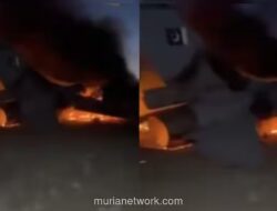 Afghanistan Klaim Tembak Jatuh F-16 Pakistan, Islamabad Bantah dan Sebut Serang Militan