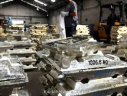 Pemerintah Kaji Larangan Ekspor Bijih Timah untuk Percepat Hilirisasi