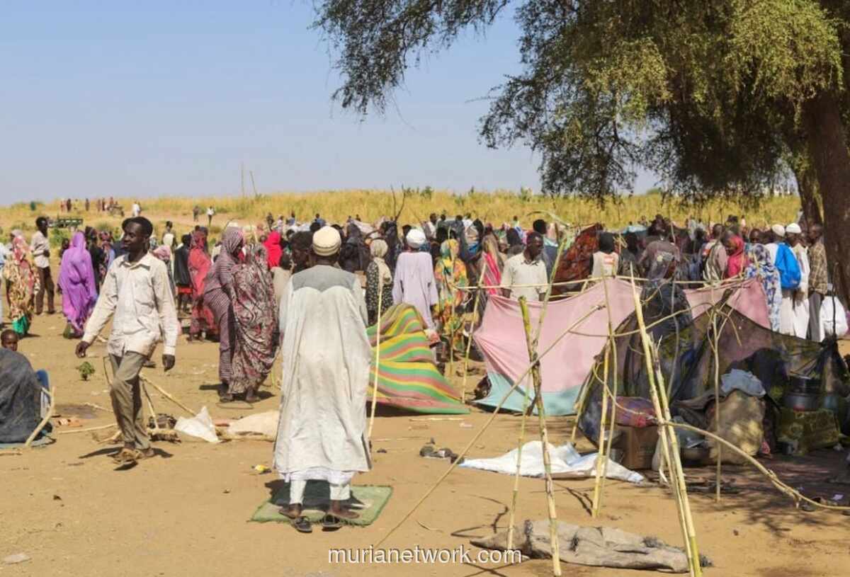Serangan Drone RSF Tewaskan 24 Warga Sipil, Termasuk 8 Anak, di Kordofan Utara