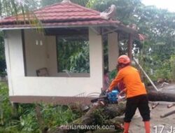 Hujan Deras dan Angin Kencang di Cibinong Bogor Tumbangkan Pohon dan Rusak Tiga Rumah