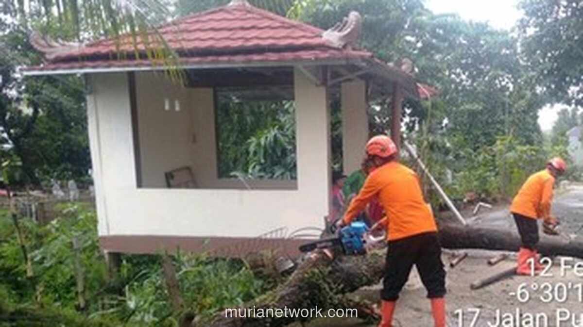 Hujan Deras dan Angin Kencang di Cibinong Bogor Tumbangkan Pohon dan Rusak Tiga Rumah