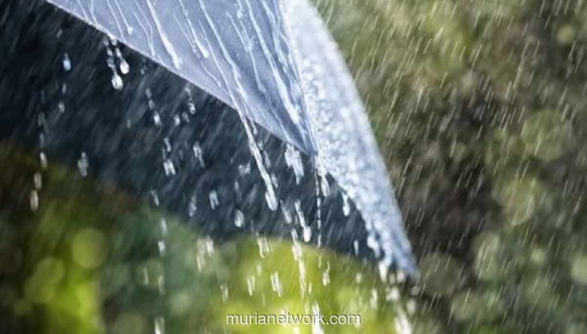 BMKG Peringatkan Potensi Hujan Lebat dan Bencana Hidrometeorologi di Jawa hingga 2026