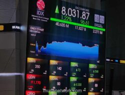 IHSG Menguat 1,22% ke Level 8.031, Sektor Barang Baku dan Energi Jadi Penggerak