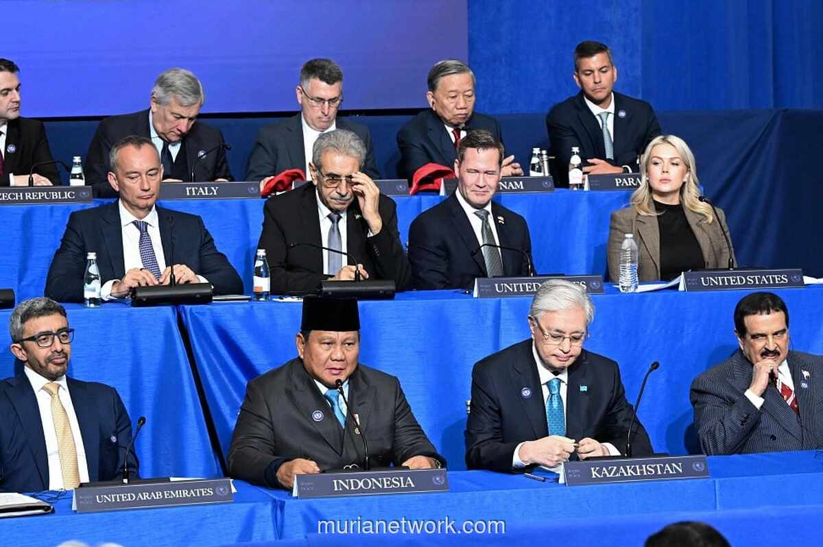 Indonesia Ditunjuk Jadi Wakil Komandan Pasukan Perdamaian Multinasional di Gaza