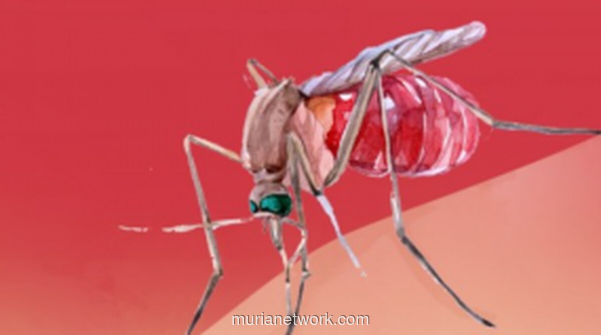 Kemenkes: Angka Kematian DBD Tembus Target, Indonesia Pacu Target Nol Kematian 2030