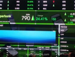 Danantara Tunda IPO BUMN hingga 2027, Fokus ke Restrukturisasi Internal