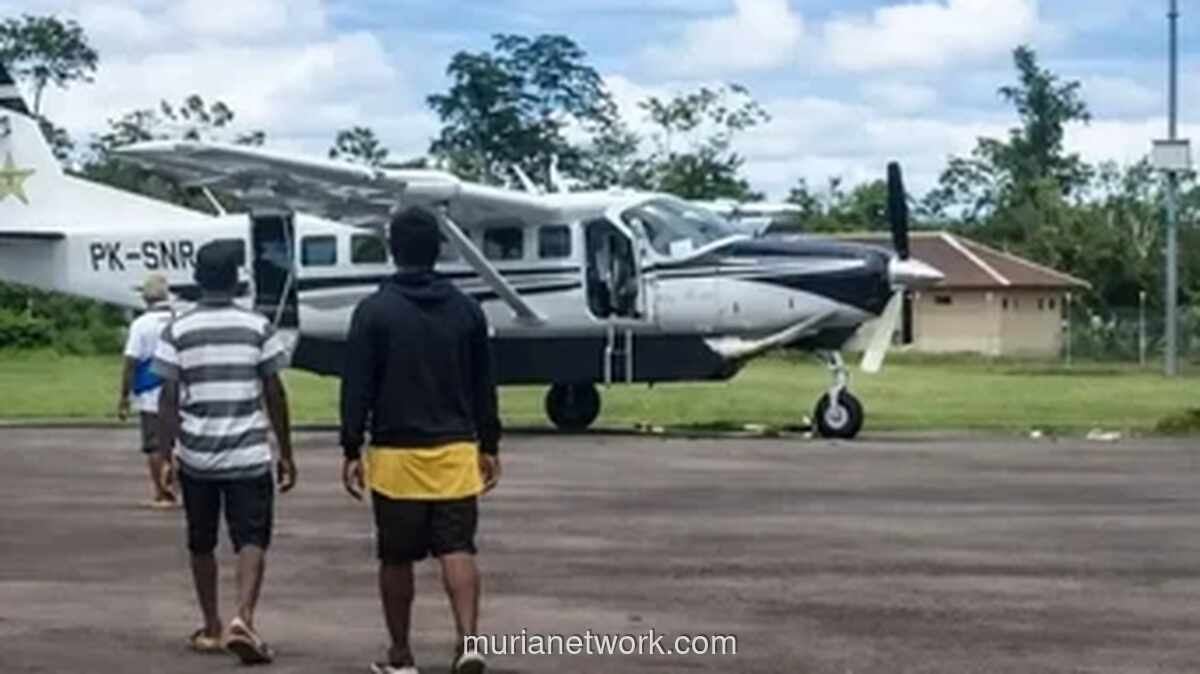 Pilot dan Kopilot Tewas Ditembak, KKB Pimpinan Elkius Kobak Diduga Dalang