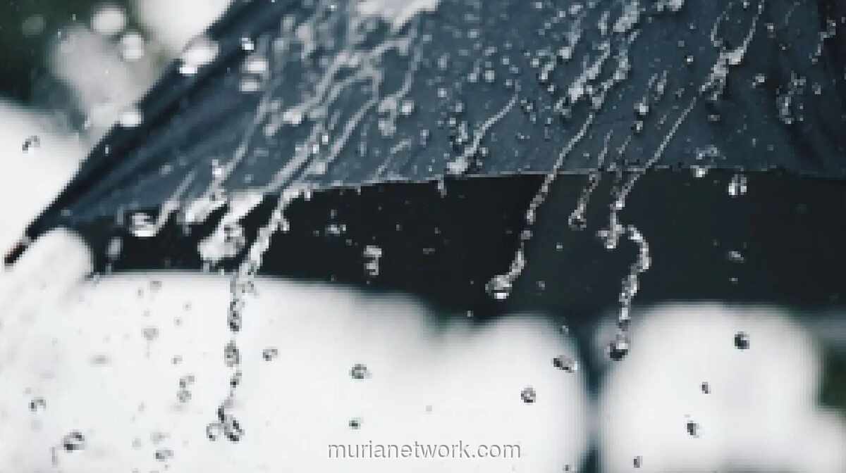 BMKG Prediksi Hujan Ringan Guyur Seluruh Wilayah Jabodetabek Hari Ini