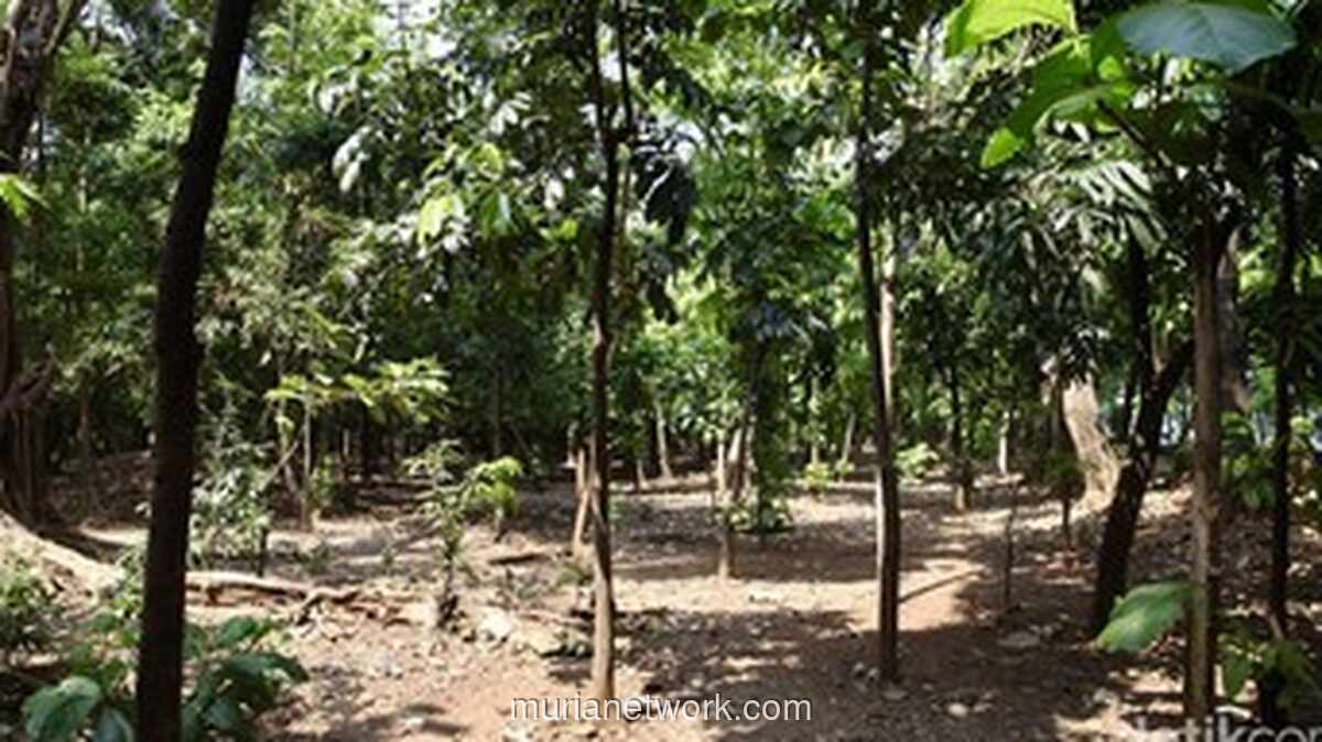 Dua Akses Hutan Kota Cawang Ditutup Permanen Cegah Penyalahgunaan