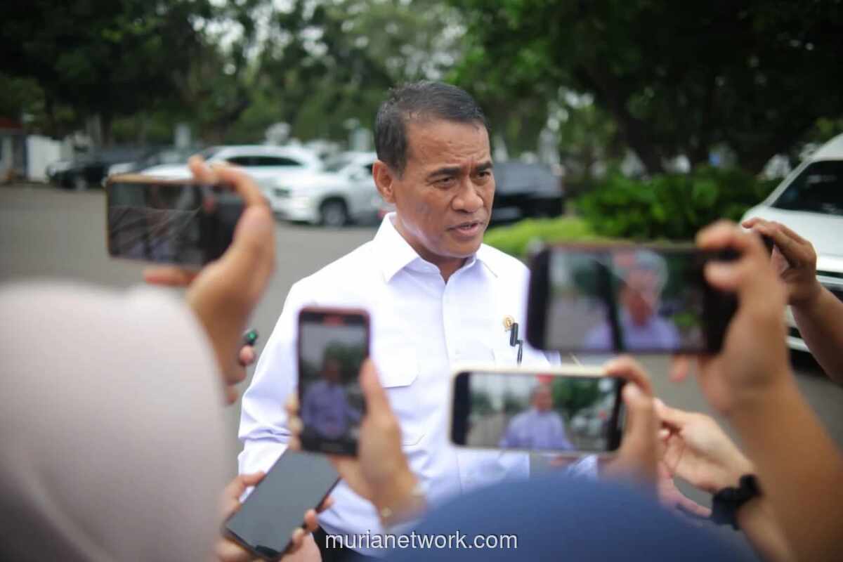 Pemerintah Intervensi di Hulu untuk Stabilkan Harga Ayam dan Telur