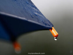 BMKG Peringatkan Potensi Hujan Disertai Petir di Jakarta Malam hingga Dini Hari