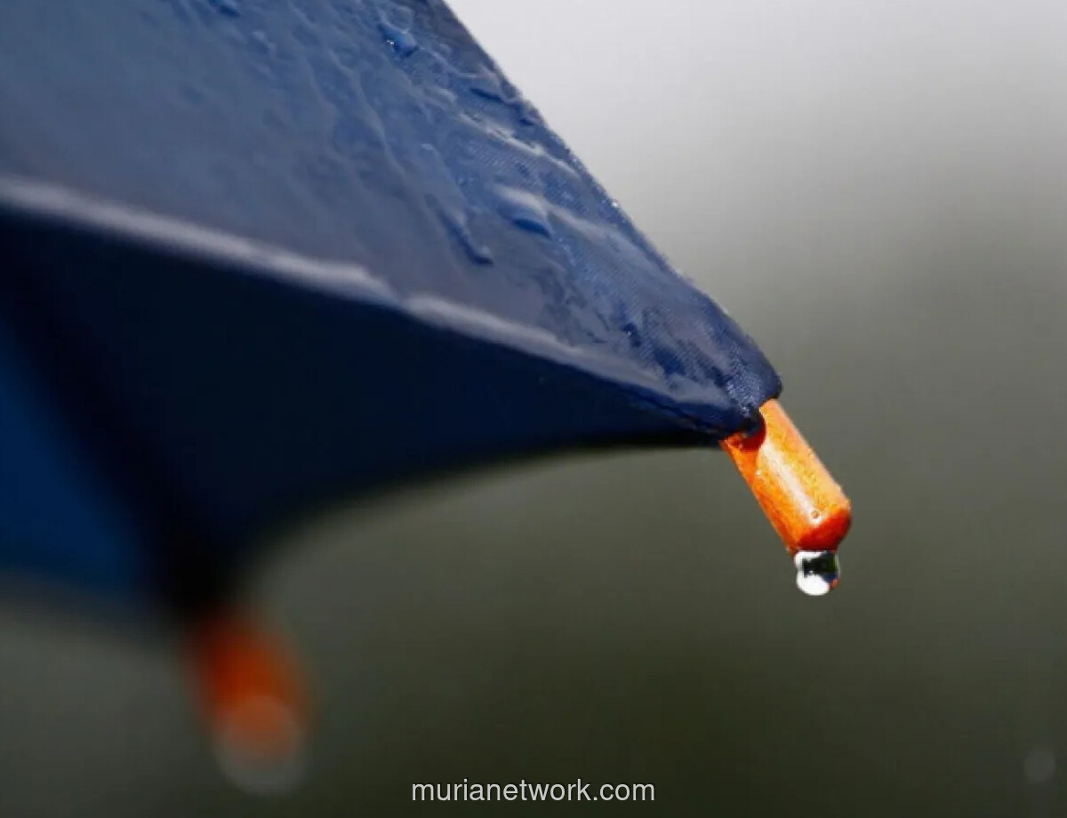 BMKG Peringatkan Potensi Hujan Disertai Petir di Jakarta Malam hingga Dini Hari