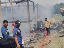 Kebakaran Kandang Ayam di Boyolali Tewaskan 10 Ribu Ekor DOC, Diduga dari Tungku Arang