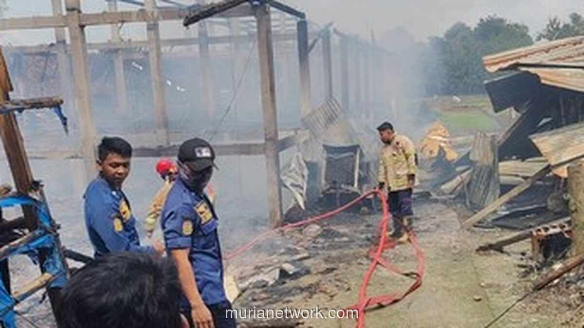 Kebakaran Kandang Ayam di Boyolali Tewaskan 10 Ribu Ekor DOC, Diduga dari Tungku Arang