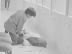 UIN Suska Riau Pastikan Pelaku Pembacokan Mahasiswi Akan Diberhentikan