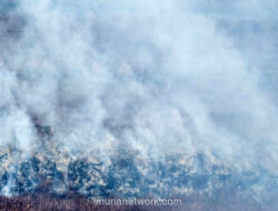 Karhutla Masih Melanda Lima Kabupaten di Riau, Operasi Pemadaman Terus Berjalan