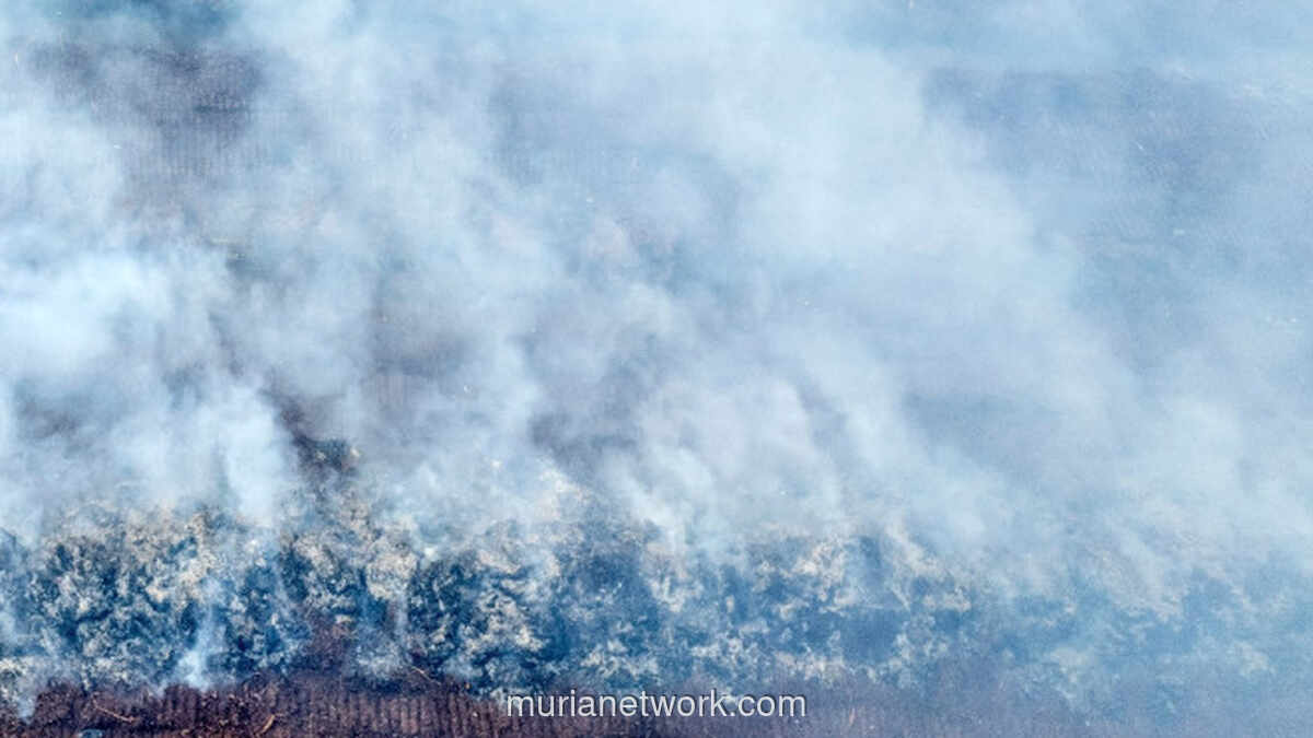 Karhutla Masih Melanda Lima Kabupaten di Riau, Operasi Pemadaman Terus Berjalan