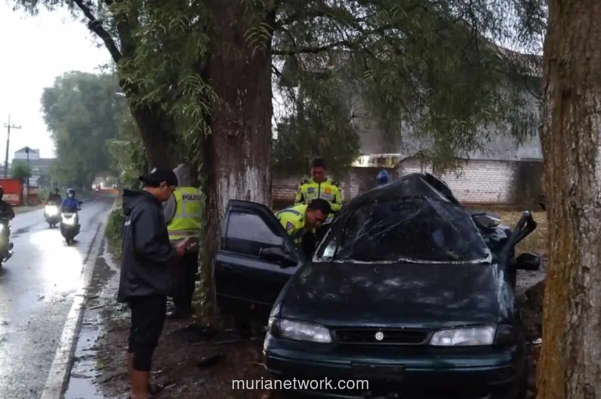 Dua Tewas dalam Kecelakaan Mobil Tabrak Pohon di Lamongan