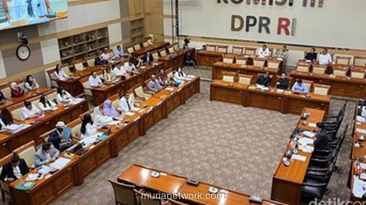 Ibu Klaim Anaknya Tak Bersalah dalam Kasus Pembunuhan Mahasiswi Unram di Hadapan Komisi III DPR