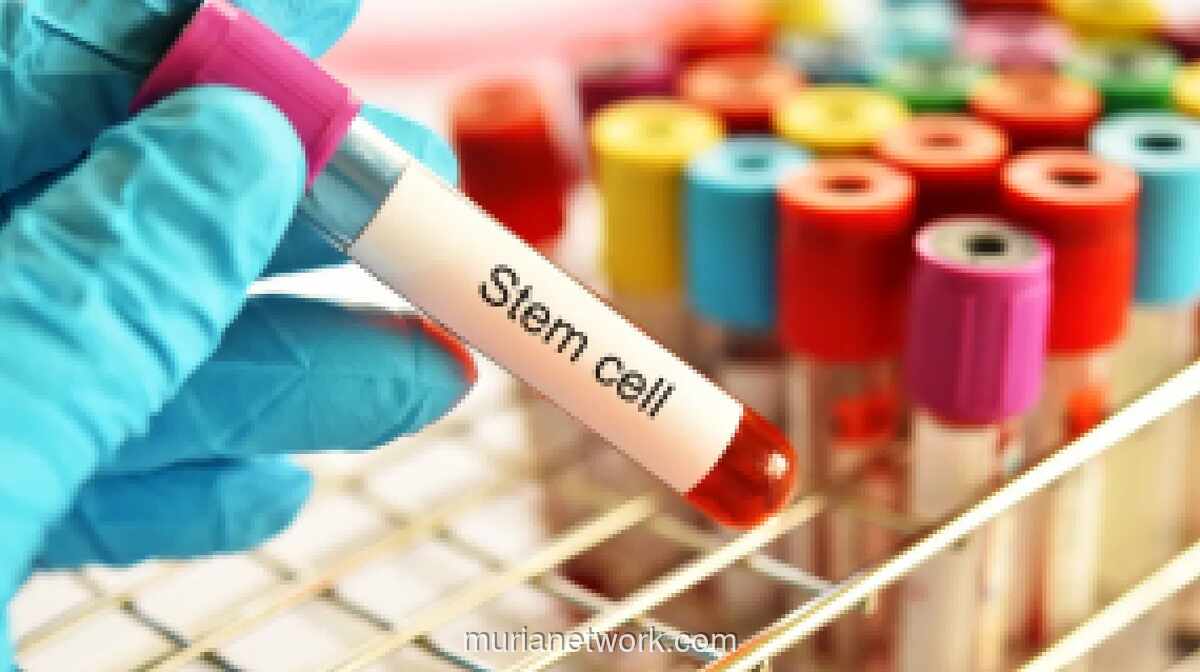 Pemerintah Tegakkan Regulasi Ketat untuk Terapi Sel Punca di Indonesia