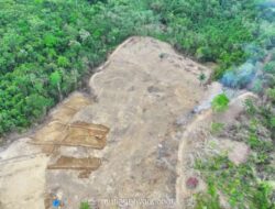 Penegak Hutan Amankan Tiga Pelaku Perambahan 9 Hektar di Wajo