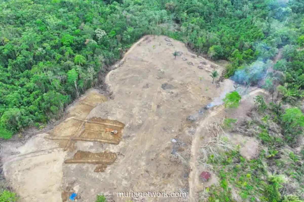 Penegak Hutan Amankan Tiga Pelaku Perambahan 9 Hektar di Wajo