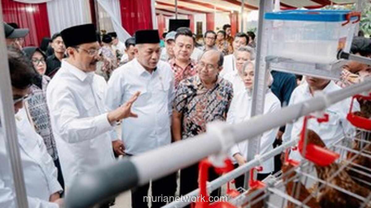 Kemensos Salurkan Ayam Petelur ke 70 Keluarga di Purworejo untuk Transisi ke Kemandirian Ekonomi