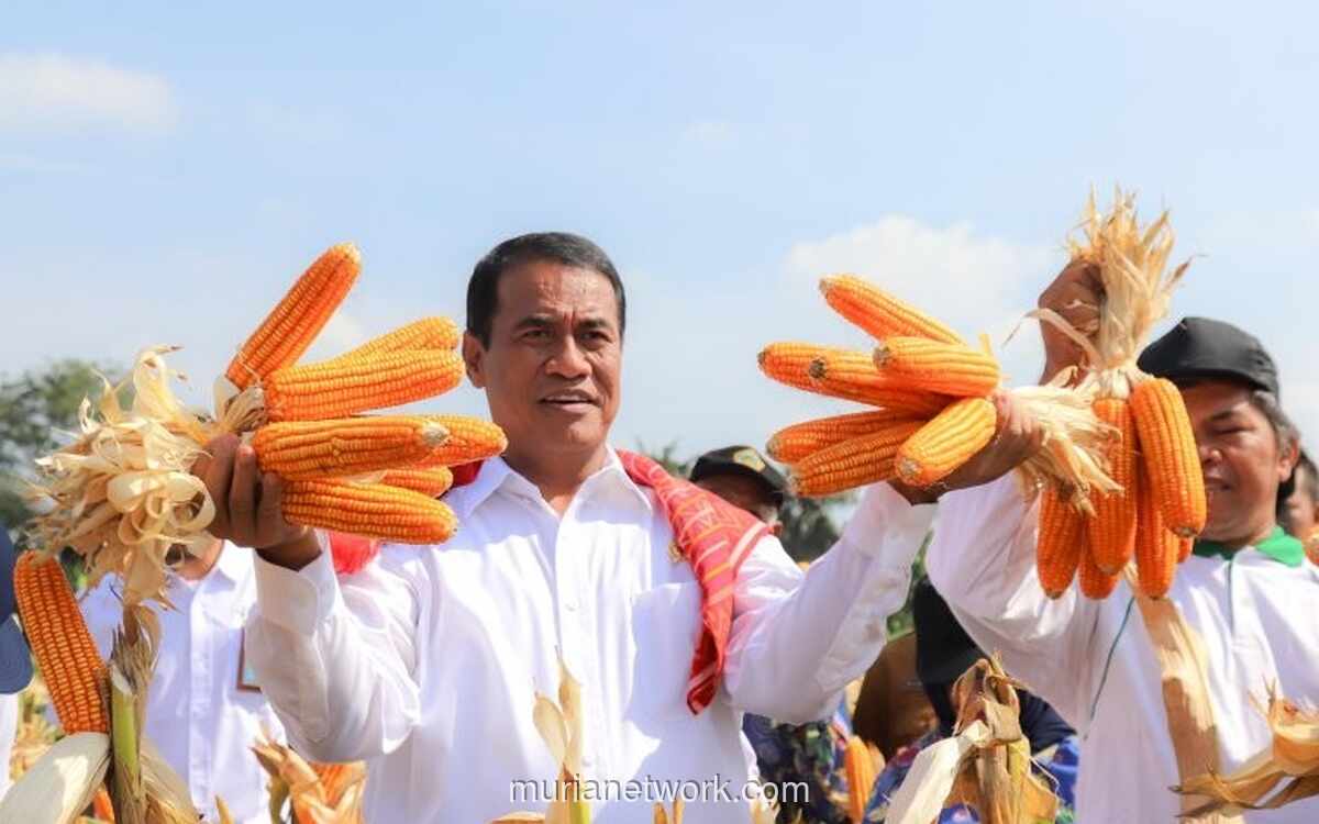 Kementan Pacu Diversifikasi Jagung untuk Industri Pangan, Dukung Swasembada 2026