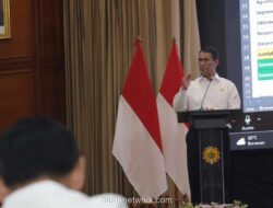 Mentan Ancam Alihkan Anggaran Daerah yang Tak Serius Cetak Sawah