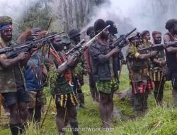 TNI Selidiki Dugaan Perampasan Senjata dalam Serangan Mematikan di Nabire