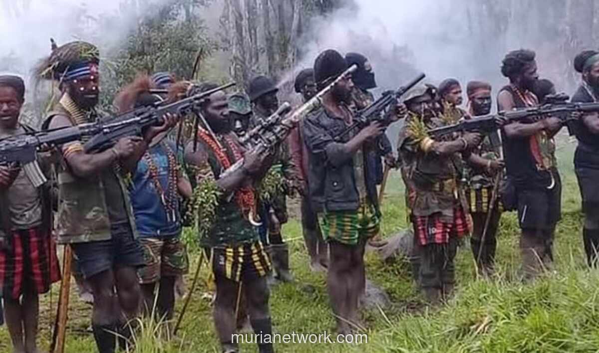 TNI Selidiki Dugaan Perampasan Senjata dalam Serangan Mematikan di Nabire