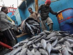 KKP Buka Akses Ekspor Perikanan ke Turki dan China, 57 Unit Pengolahan Ikan Dapat Persetujuan