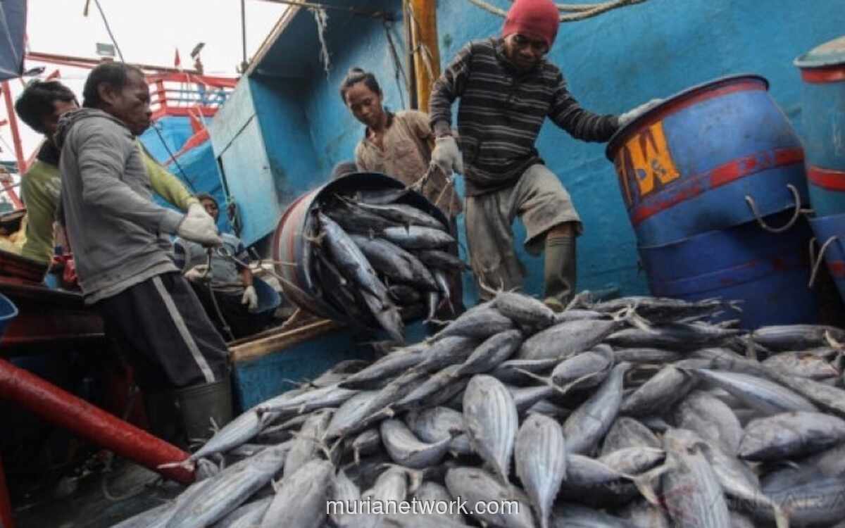 KKP Buka Akses Ekspor Perikanan ke Turki dan China, 57 Unit Pengolahan Ikan Dapat Persetujuan