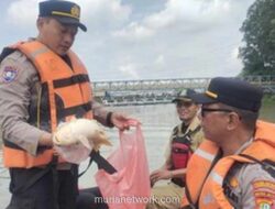 Kebakaran Gudang Pestisida di Tangerang Cemari Cisadane, 20 Ton Bahan Kimia Tumpah