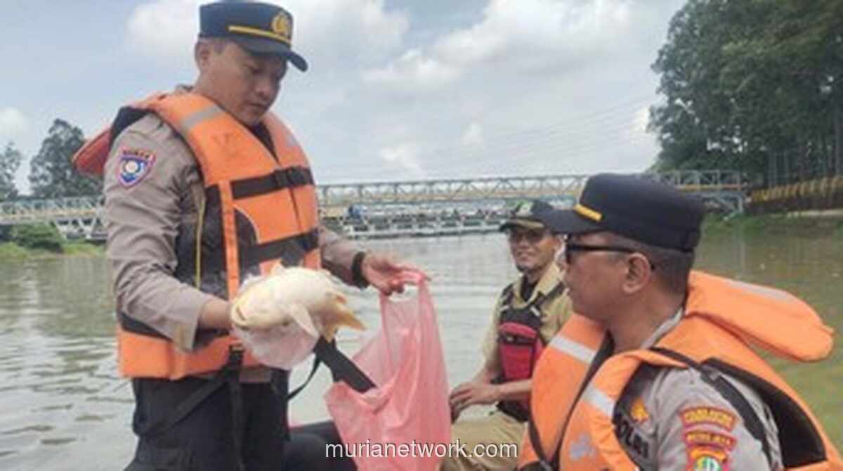 Kebakaran Gudang Pestisida di Tangerang Cemari Cisadane, 20 Ton Bahan Kimia Tumpah