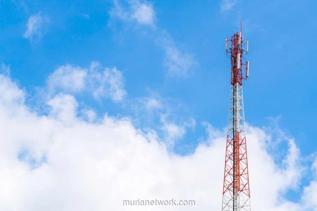 Wamen Komunikasi dan Digital Pastikan Percepatan Perbaikan Jaringan Telekomunikasi Pasca Banjir Bandang Aceh Tengah