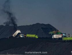 ESDM Pastikan Kuota Penuh untuk PKP2B Generasi I dengan Syarat Prioritas DMO