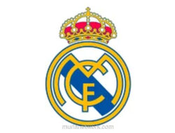 Real Madrid Usir Anggota Tribun yang Lakukan Salam Nazi di Bernabéu