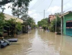 Tanggul Jebol, Lima Desa di Demak Masih Terendam Banjir