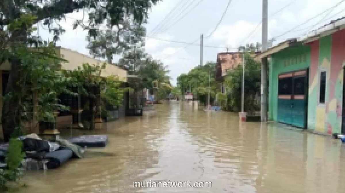 Tanggul Jebol, Lima Desa di Demak Masih Terendam Banjir