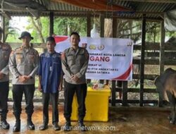 Mahasiswa STIK Salurkan 70 Sapi untuk Jaga Tradisi Meugang Korban Bencana Aceh