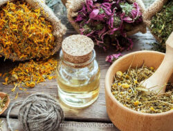 Industri Herbal Indonesia Tumbuh, UMKM Lokal Hadapi Tantangan Keamanan dan Impor