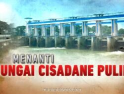 Kebakaran Gudang Pestisida di BSD Sebabkan Ribuan Ikan Mati di Sungai Cisadane