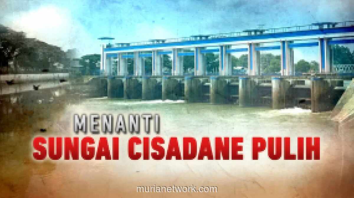 Kebakaran Gudang Pestisida di BSD Sebabkan Ribuan Ikan Mati di Sungai Cisadane