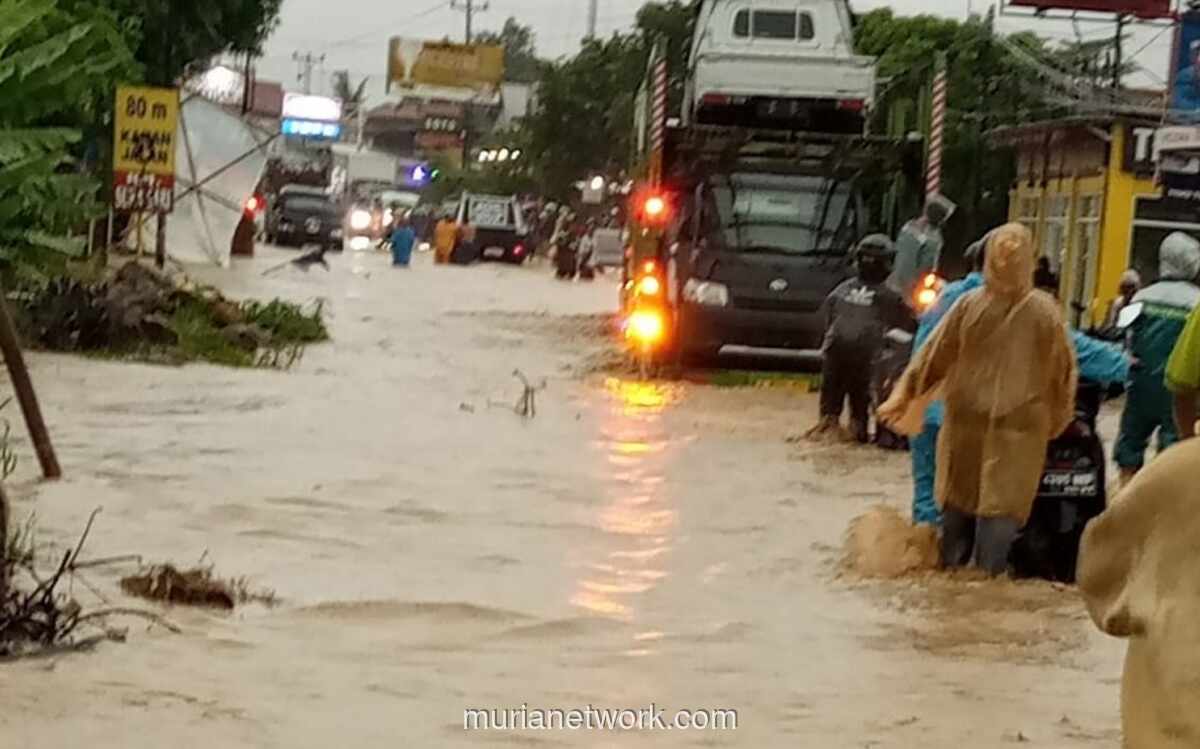 Menteri Seskab Soroti Dugaan Penebangan Hutan Pemicu Banjir Bandang Guci Tegal
