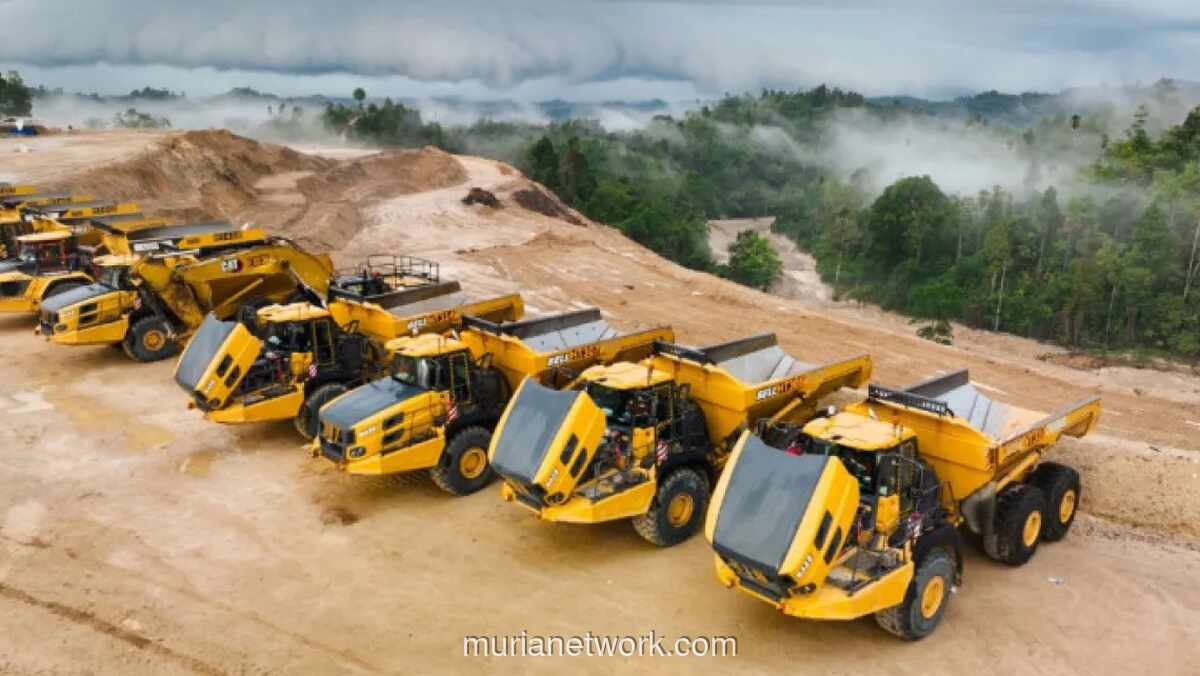 PT Merdeka Gold Resources Capai First Gold Pour di Tambang Pani Lebih Cepat dari Jadwal