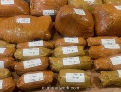 Polisi Amankan 9,5 Kilogram Ganja di Parkir RS UKI Jakarta Timur