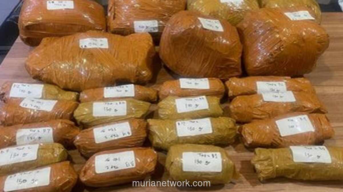 Polisi Amankan 9,5 Kilogram Ganja di Parkir RS UKI Jakarta Timur