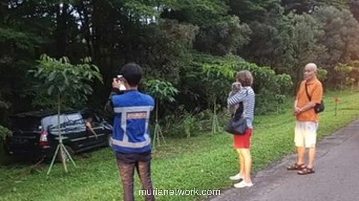 Kecelakaan Tunggal di Tol Jagorawi Diduga Akibat Pengemudi Mengantuk, Korban Nihil